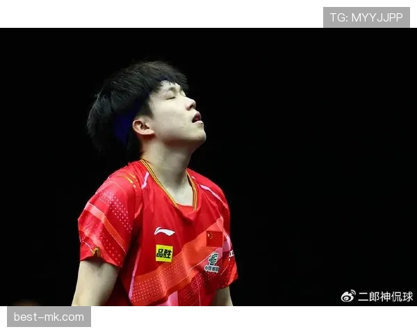 新生代球员闪耀赛场：未来之星强势登榜热门球员排行榜