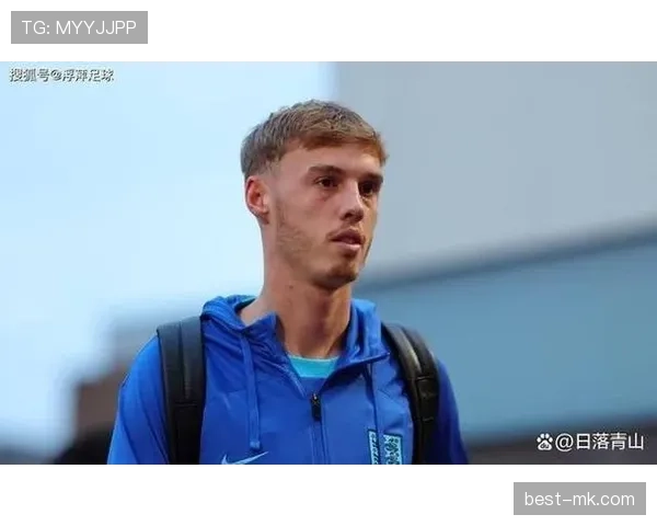 帕尔默比赛全新模式引爆体育界，重塑行业标杆引领未来趋势